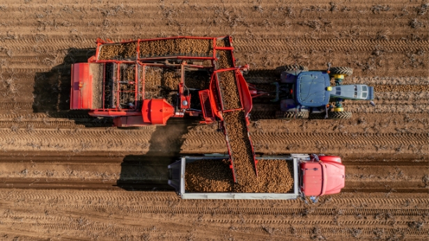 companies-card-img13