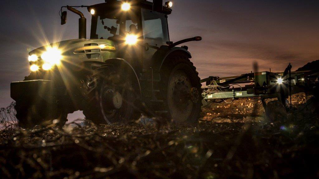 Masser-Potato-Harvest_2019