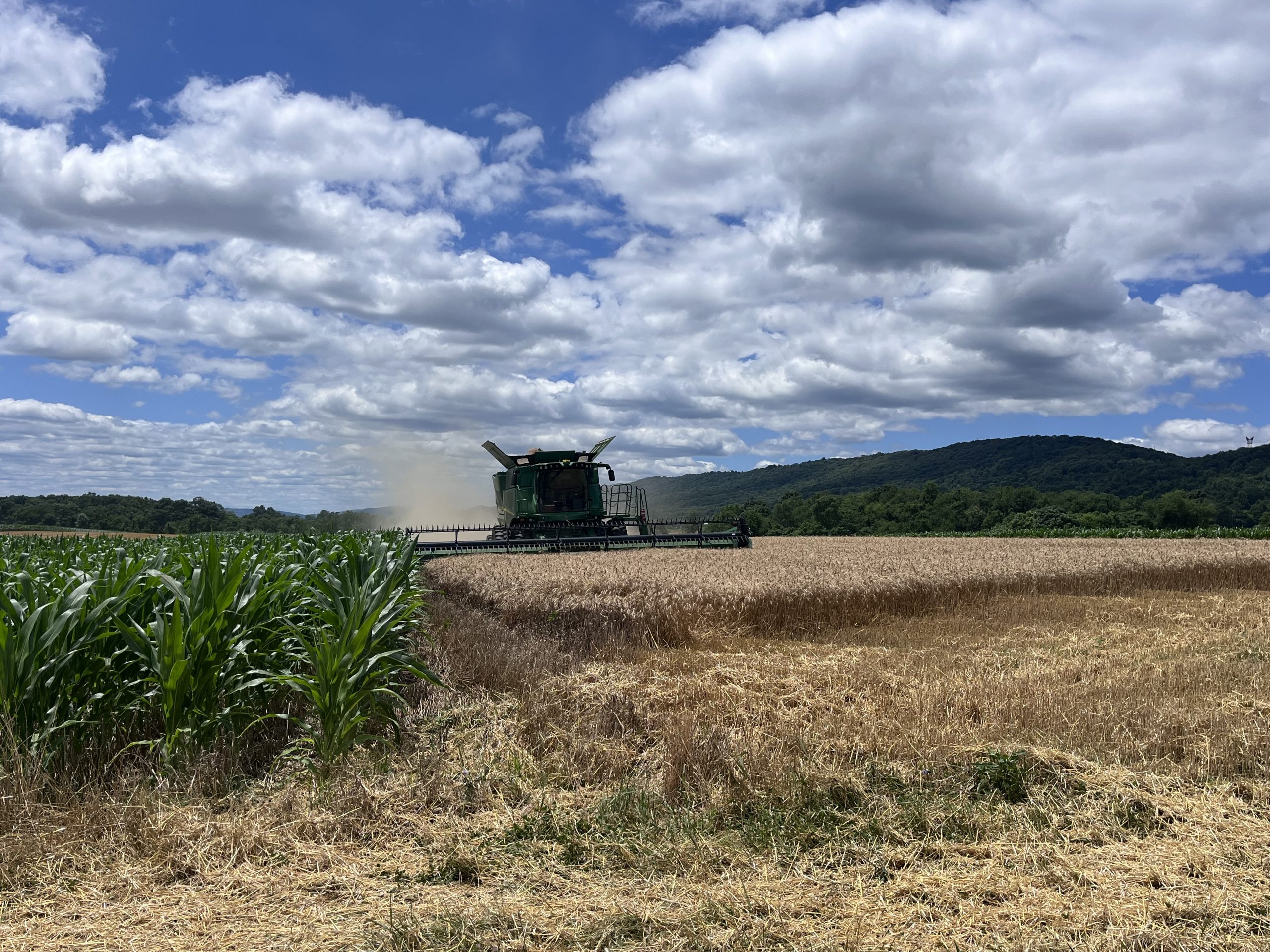 combine-wheat-and-corn-scaled