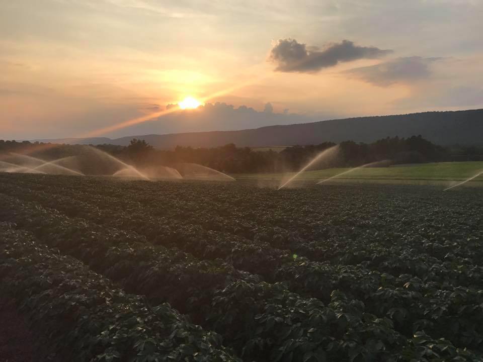 19247782_1608127775864176_498240687678197344_n