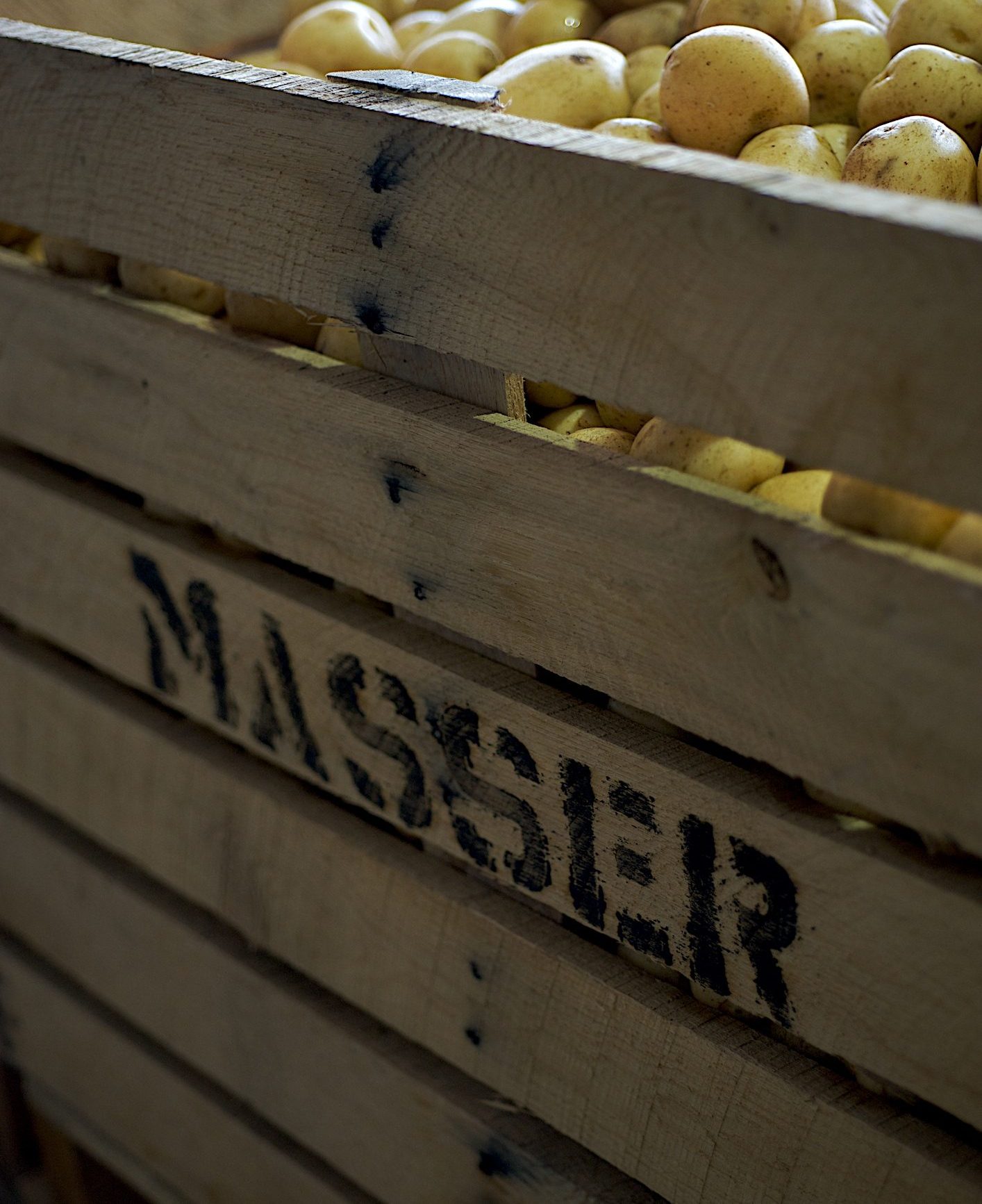 DSC3457-Version-2-e1762885058719