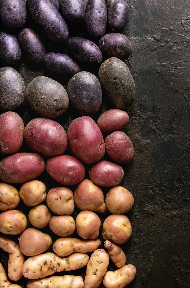 potato-varieties-e1754332609808
