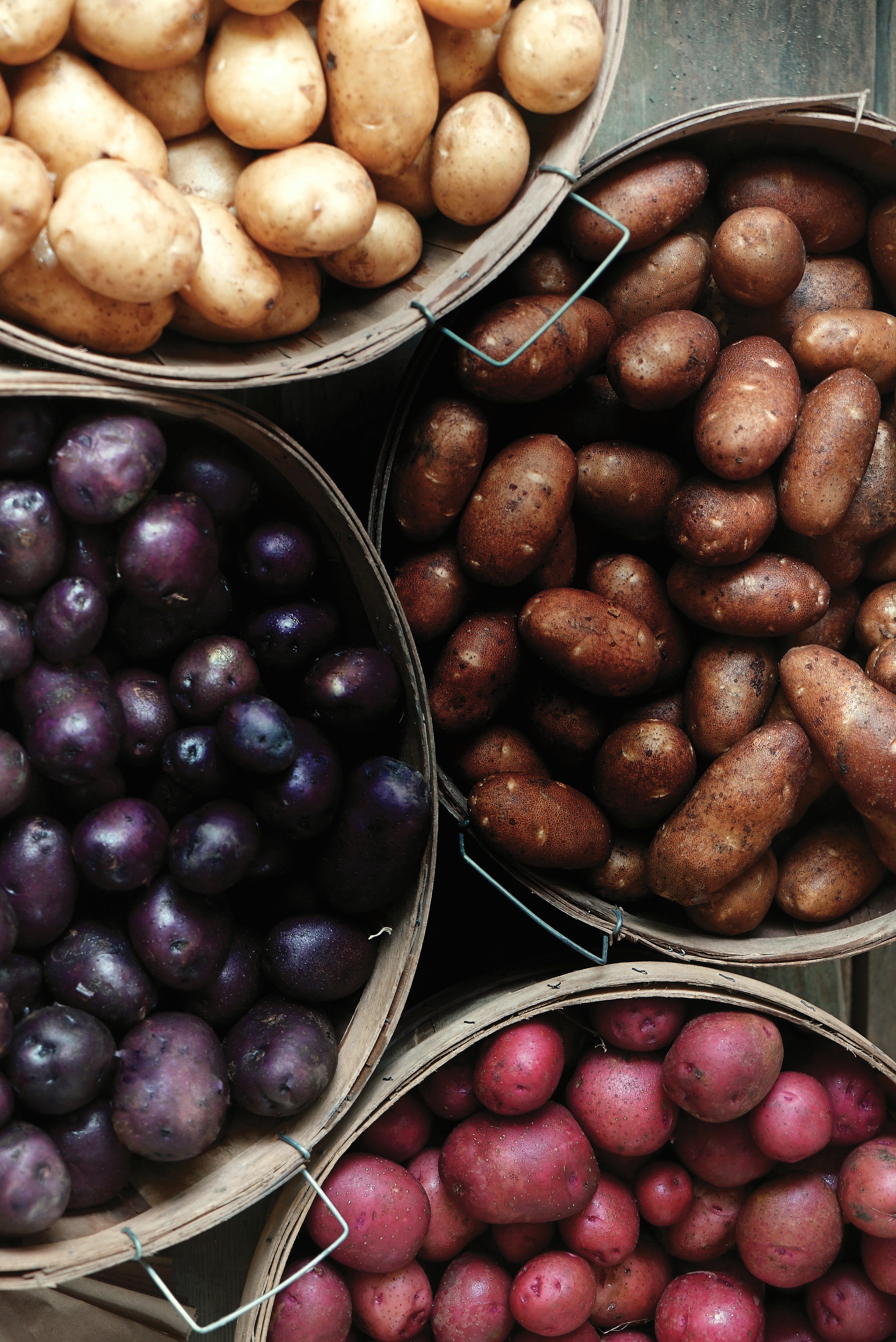 MulticoloredPotatoesinBasketsatMarket_revised-2-e1757511087155