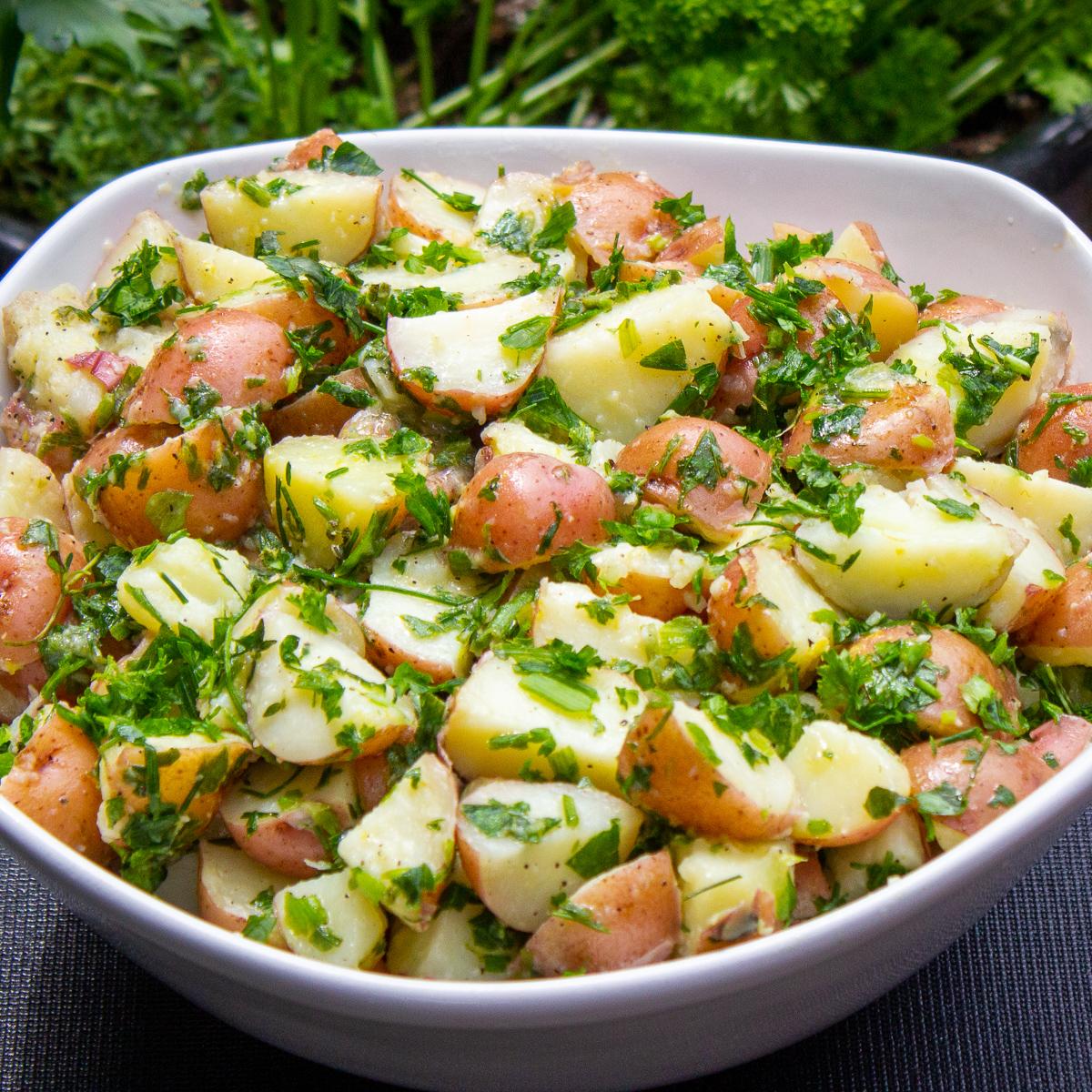 herbed-potato-salad-2