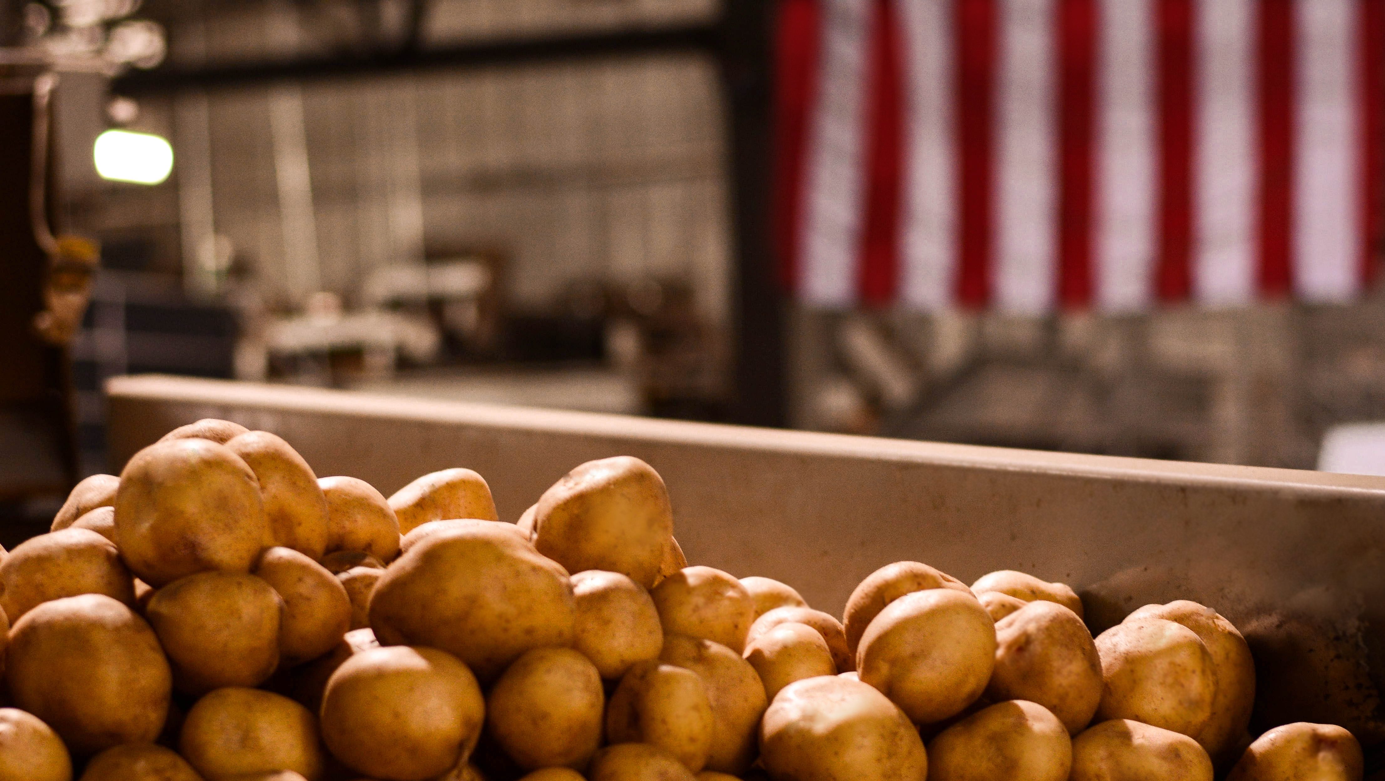 Potato-Close-Up-Flag-2-Copy